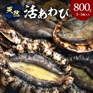 【ふるさと納税】天然 活 あわび 3〜5個入り 刺身 黒あわび 赤あわび 貝 冷蔵配送 兵庫県 洲本市 淡路島