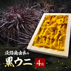 【ふるさと納税】淡路島由良の黒 ウニ 【4枚】3月～5月配送 無添加 木箱入り ミョウバン不使用 うに 雲丹 冷蔵配送 兵庫県 洲本市 淡路島　お届け：2026年3月中旬～2026年5月下旬