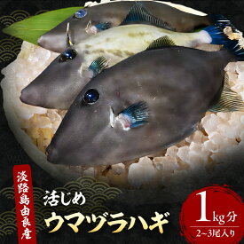 【ふるさと納税】ウマヅラハギ 2～3尾入り 1kg分 12月～4月配送（淡路島由良産/活じめ/下処理済み） 海鮮 鮮魚 冷蔵配送 兵庫県 洲本市 淡路島　お届け：2025年12月初旬～2026年4月下旬