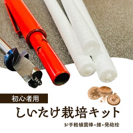 【ふるさと納税】初心者用 しいたけ 栽培キット お手軽植菌棒+錐+発砲栓 椎茸 シイタケ きのこ しいたけ栽培 椎茸栽培 椎茸栽培キット しいたけ栽培セット きのこ栽培 きのこ栽培キット 栽培 体験 淡路島 洲本市