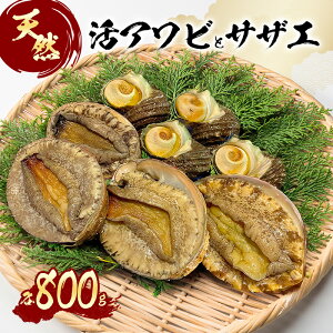 yӂ邳Ɣ[ŁzVR ArƃTUGi Ar 4`5 / TUG 6`7j hg L CN BBQ ①z Ɍ F{s WH