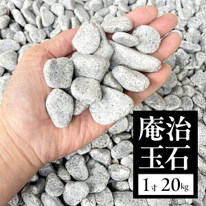 yӂ邳Ɣ[Łzʐ1i18`30mmj 20kg Ɍ F{s WH