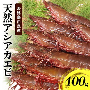 yӂ邳Ɣ[ŁzVRAVAJGriWHRǎYEXYj400g 10`5z Ɍ F{s WH @͂F10`5