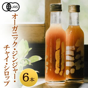 yӂ邳Ɣ[ŁzSɕ I[KjbN WW[ `C Vbv 6{ WW[Vbv WW[G[ `CeB[ ߗphN Ɍ F{s WH