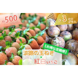 yӂ邳Ɣ[Łzmst^ցn{̖o낢͂yWHYzʂ˂i3kgjƍgC`Si500gjґZbgI Ɍ F{s WH @͂Fʂ˂i2026N5`6j