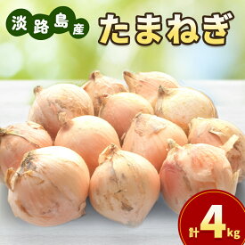 【ふるさと納税】【選べる！】淡路島産 玉ねぎ 4kg or 8kg たまねぎ タマネギ 甘い 野菜 旬の野菜 季節の野菜 兵庫県 洲本市 淡路島　お届け：2026年5月中旬～2026年11月末
