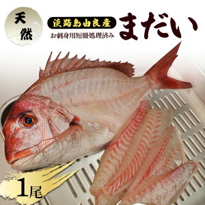 【ふるさと納税】天然 まだい 1尾 お刺身用 短冊処理済み 淡路島 由良産 人数の目安:3〜4人前 真鯛 鯛 刺身 冷蔵配送 兵庫県 洲本市