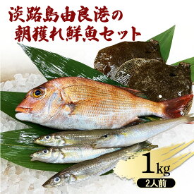 【ふるさと納税】淡路島由良港の朝獲れ 鮮魚セット 2人前 魚セット 詰め合わせ 魚 鮮魚 魚介類 兵庫県 洲本市 淡路島