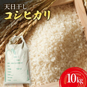 yӂ邳Ɣ[ŁzVRVqJ10kg Ɍ F{s WH @͂F11{蔭Jn