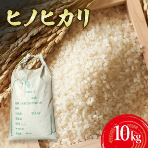 yӂ邳Ɣ[ŁzqmqJ10kg Ɍ F{s WH @͂F11菉{蔭Jn