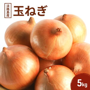【ふるさと納税】淡路島産玉ねぎ 5kg 野菜 淡路島産 玉ねぎ 玉葱 甘い 兵庫県 洲本市 淡路島