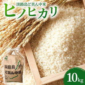 【ふるさと納税】令和7年度産 先行予約 淡路島 ど真ん中米 ヒノヒカリ 10kg 米 精米 精白米 鮎原米 兵庫県 洲本市 淡路島　お届け：2025/11/1～2026/1/31
