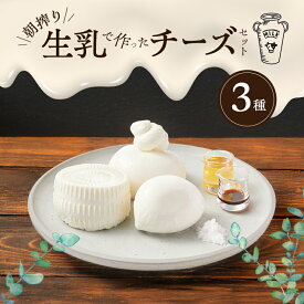 【ふるさと納税】チーズ＆ピザワークス 朝搾り生乳で作った チーズ 3種 セット詰め合わせ 低温加熱殺菌 フレッシュチーズ モッツアレラ リコッタ ブッラータ チーズセット 洲本市