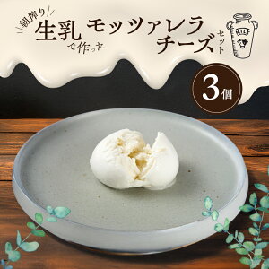 【ふるさと納税】朝搾り生乳で作った モッツァレラチーズ 3個 セット チーズ&ピザワークス チーズ 生乳 兵庫県 洲本市 淡路島