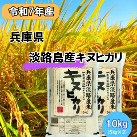 【ふるさと納税】令和7年産 兵庫県淡路島産米 キヌヒカリ 10kg（5kg×2） 兵庫県 洲本市 淡路島