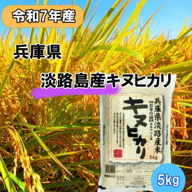 【ふるさと納税】令和7年産 兵庫県淡路島産米 キヌヒカリ 5kg 兵庫県 洲本市 淡路島