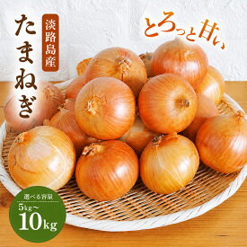 【ふるさと納税】【選べる！】淡路島産 たまねぎ 5kg or 10kg 玉ねぎ 玉葱 タマネギ 甘い 野菜 兵庫県 洲本市 淡路島　お届け：2027年6月上旬～2027年6月下旬