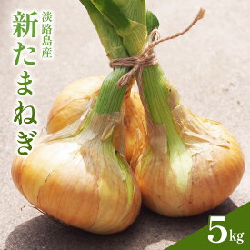 【ふるさと納税】淡路島産 新たまねぎ 5kg or 10kg 新玉ねぎ 玉ねぎ 玉葱 タマネギ 甘い 兵庫県 洲本市 淡路島　お届け：2027年4月上旬～2027年5月中旬