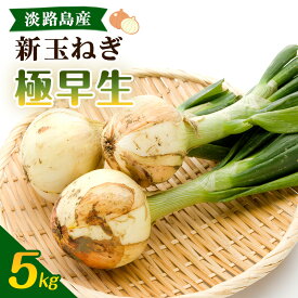【ふるさと納税】【選べる！】淡路島産 新玉ねぎ 3kg～10kg うしろ農園 極早生 玉ねぎ 玉葱 タマネギ 甘い 野菜 兵庫県 洲本市 淡路島　お届け：12月1日～4月15日