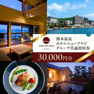 【ふるさと納税】洲本温泉 ホテルニューアワジ グループ共通 利用券 30000円分 旅行 ホテル 宿泊 温泉 券 兵庫県 洲本市 淡路島