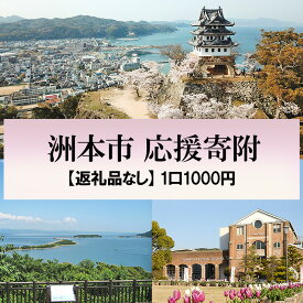 【ふるさと納税】返礼品なし 洲本市応援寄附 ふるさと納税 寄附のみ 応援 淡路島 洲本市