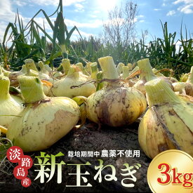 【ふるさと納税】淡路島 新玉ねぎ 3kg 玉ねぎ 新玉 タマネギ 淡路島産 3キロ スープ ハンバーグ 肉じゃが 野菜 サラダ 淡路島もぐもぐファーム 淡路 洲本市　お届け：2027年3月中旬～5月下旬
