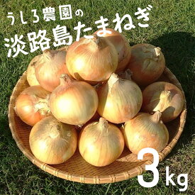 【ふるさと納税】淡路島 玉ねぎ 3kg 肉厚 中生 タマネギ 淡路島産 3キロ スープ ハンバーグ 肉じゃが ホイル焼き 野菜 サラダ うしろ農園 淡路 洲本市　お届け：2026年6月中旬～11月下旬