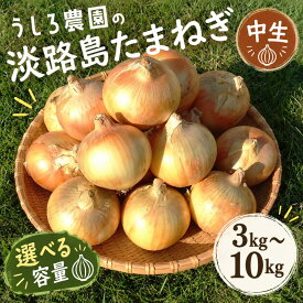 【ふるさと納税】淡路島 玉ねぎ 5kg 肉厚 中生 タマネギ 淡路島産 5キロ スープ ハンバーグ 肉じゃが ホイル焼き 野菜 サラダ うしろ農園 淡路 洲本市　お届け：2026年6月中旬～11月下旬