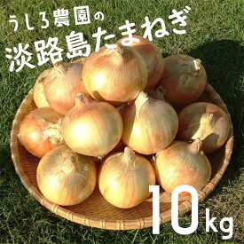 【ふるさと納税】淡路島 玉ねぎ 10kg 肉厚 中生 タマネギ 淡路島産 10キロ スープ ハンバーグ 肉じゃが ホイル焼き 野菜 サラダ うしろ農園 淡路 洲本市　お届け：2026年6月中旬～11月下旬