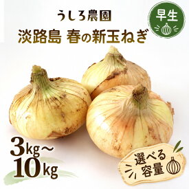 【ふるさと納税】淡路島 新玉ねぎ 5kg 肉厚 早生 玉ねぎ 新玉 タマネギ 淡路島産 5キロ スープ ハンバーグ 肉じゃが ホイル焼き 野菜 サラダ うしろ農園 淡路 洲本市　お届け：2027年4月中旬～5月下旬