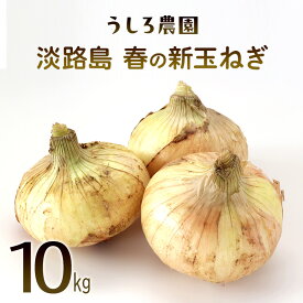【ふるさと納税】淡路島 新玉ねぎ 10kg 肉厚 早生 玉ねぎ 新玉 タマネギ 淡路島産 10キロ スープ ハンバーグ 肉じゃが ホイル焼き 野菜 サラダ うしろ農園 淡路 洲本市　お届け：2027年4月中旬～5月下旬