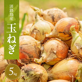 【ふるさと納税】淡路島産玉ねぎ　5kg　たまねぎ タマネギ 玉葱 吊り玉 秀品 野菜 新鮮 長持ち カレー シチュー バーベキュー スープ 兵庫県 洲本市 淡路島　お届け：2026年6月～2027年1月