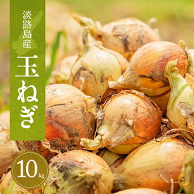 【ふるさと納税】淡路島産玉ねぎ　10kg　たまねぎ タマネギ 玉葱 吊り玉 秀品 野菜 新鮮 長持ち カレー シチュー バーベキュー スープ 兵庫県 洲本市 淡路島　お届け：2026年6月～2027年1月