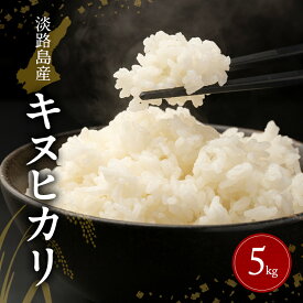 【ふるさと納税】淡路島産キヌヒカリ 5kg　米 コメ おこめ 精米 ごはん ライス 弁当 おにぎり 兵庫県 洲本市 淡路島　お届け：2026年9月～