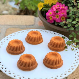 【ふるさと納税】シトロン マドレーヌ（レモンのマドレーヌ）6個入り【ひみつのひとさじ】[お届け：2026年7月末まで] | お菓子 焼き菓子 焼菓子 洋菓子 スイーツ デザート 無農薬レモン 純正はちみつ 添加物不使用 ティータイム コーヒーブレイク