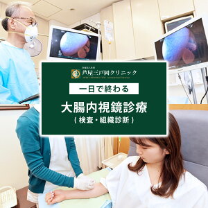 yӂ邳Ɣ[Łz1ŏI 咰f (A) 1lyOˉNjbNzNjbN 咰  咰 咰|[v Ȃǂ  ΍ 