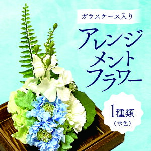 yӂ邳Ɣ[ŁzKXP[X̃AWgt[iFjîΉ\j@ CeA A   u G rO _  KXe | ȒP ^bZ 