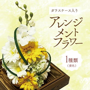 yӂ邳Ɣ[ŁzKXP[X̃AWgt[iFjîΉ\j@ CeA A   u G rO _  KXe | ȒP ^bZ 