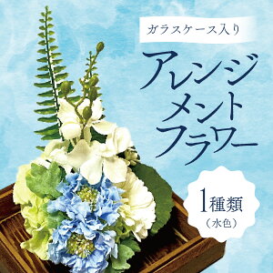 yӂ邳Ɣ[ŁzKXP[X̃AWgt[iFjîΉ\j@ CeA A   u G rO _  KXe | ȒP ^bZ 