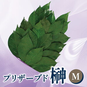 yӂ邳Ɣ[ŁzvU[uh  SS / S / M TCY i1 2jyVR Y TJL _I _ Ւd ʋ _ d    ~ ފ V~  sv ͂Ȃ vU[uht