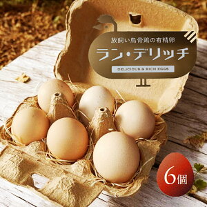 yӂ邳Ɣ[ŁzɌY G{̗LwEfb`x | 6  ܂ G{ VN Y lߍ킹 Zbg  ʎq  p 蕨 v[g Mtg 