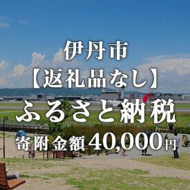 【ふるさと納税】寄附のみの応援受付 40,000円コース（返礼品なし 寄附のみ 40,000円） 寄付