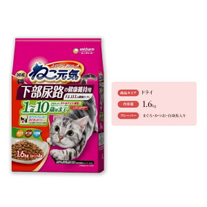yӂ邳Ɣ[Łz˂C AȞNێp 1΁`10΍܂ ܂EEg 1.6kg×6 ybgt[h Lbgt[h L̂͂ Lpt[h L ybg hC jE`