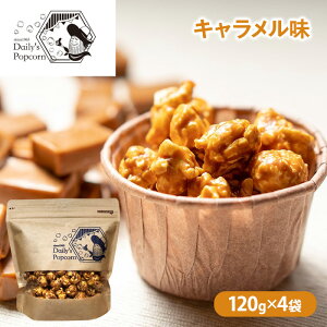 yӂ邳Ɣ[ŁzDaily's Popcorn@L@120g×4܁m |bvR[ َq XC[c n