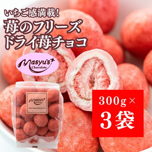 yӂ邳Ɣ[Łz䕂̃t[YhC䕃`R900g 300gx3 4`10 `R[g `R XC[c َq   zCg`R C`S pE_[ Mtg v[g Ɍ ɒO