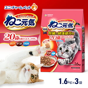 yӂ邳Ɣ[Łz˂C 20΂߂Ă₩ ܂EEg 1.6kg×3 ybgt[h Lbgt[h L̂͂ Lpt[h L ybg hC jE`[ ybg 