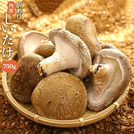 【ふるさと納税】【有機】深山農園の 有機 中身美人の新鮮しいたけ ～アウトレット～750g | 相生 有機農園 訳あり品 新鮮 きのこ 有機しいたけ 人気 おすすめ 有機栽培 野菜 食材 グルメ お取り寄せ 通販 送料無料 ふるさと納税