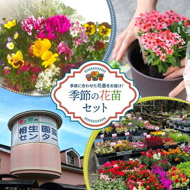 【ふるさと納税】【通年受付】季節の花苗セット（10～16ポット） | 相生 ガーデニング用 季節の花苗 多品種セット 初心者向け 人気 おすすめ 園芸植物 庭づくり 花壇用 お取り寄せ 通販 送料無料 ふるさと納税