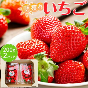 yӂ邳Ɣ[Łzystẑ܂sY@lꂢ@200g×2pbNi2026N2{ȍ~j |  n_ ̂ꂢ VNt[c lC   ʕ XC[c 