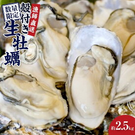 【ふるさと納税】★先行予約★殻付き生牡蠣 2.5kg【漁師直送！】 | 相生 漁師 直送 殻付き牡蠣 新鮮直送 生食用 人気 おすすめ 海産物 魚介類 グルメ お取り寄せ 通販 送料無料 ふるさと納税